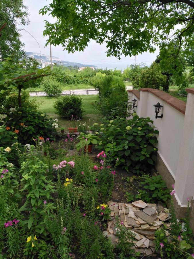 Villa Elina Balchik Extérieur photo