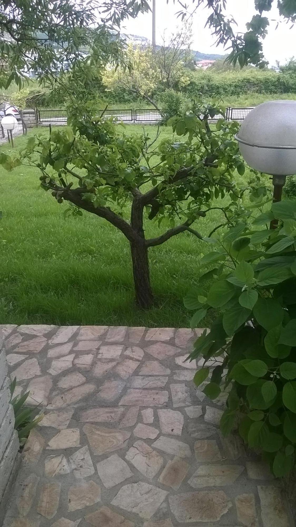 Villa Elina Balchik Extérieur photo